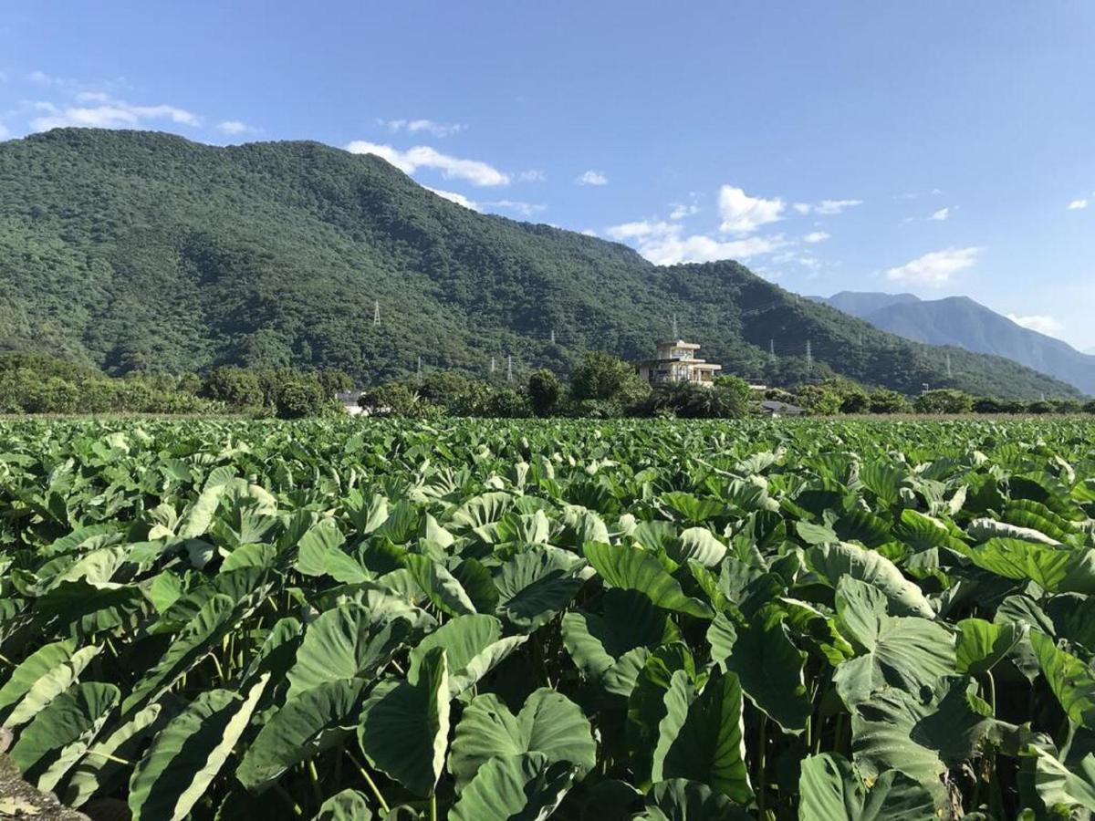 花蓮金澤居民宿樹窩民宿御安居民宿寵物友善 Ji'an Luaran gambar